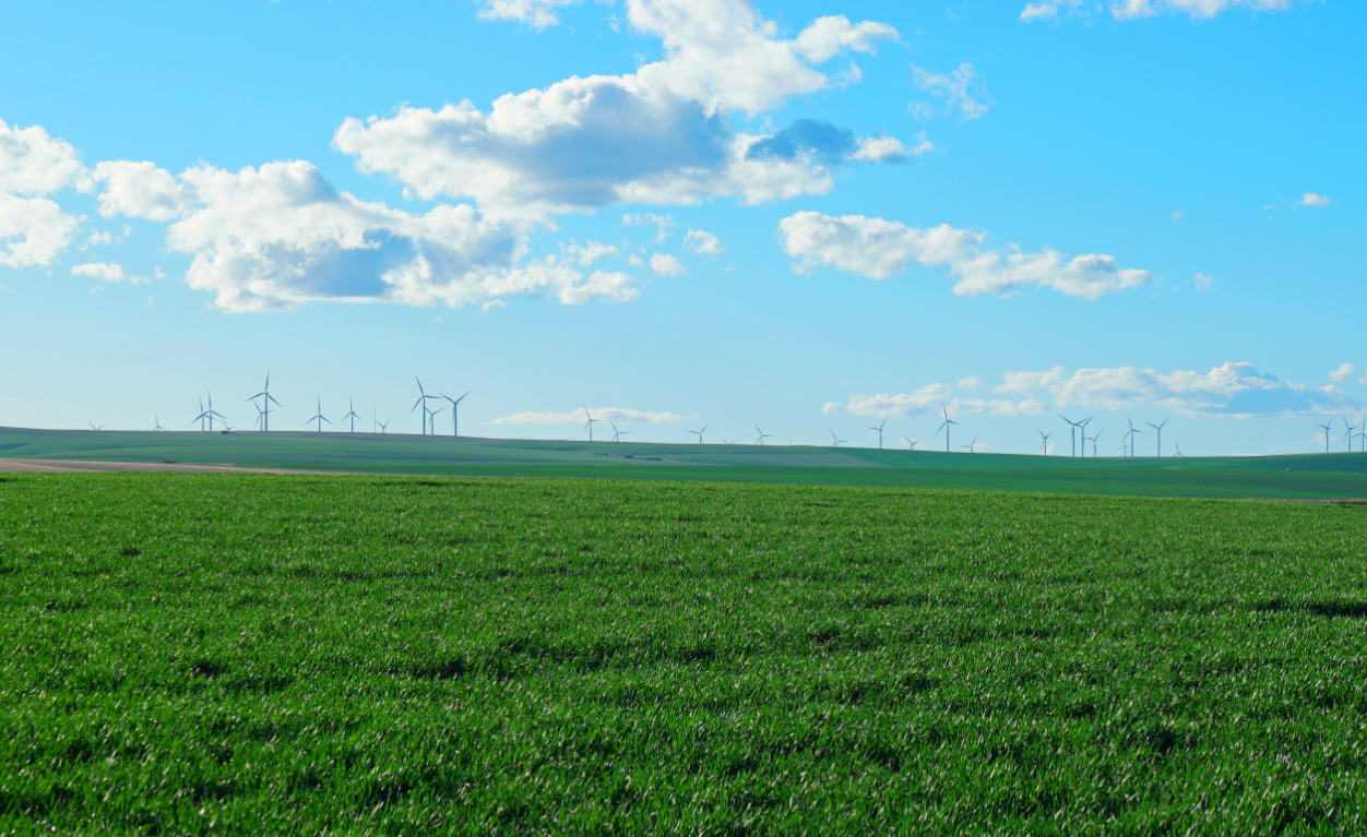 Eoliennes dans un champs verdoyant