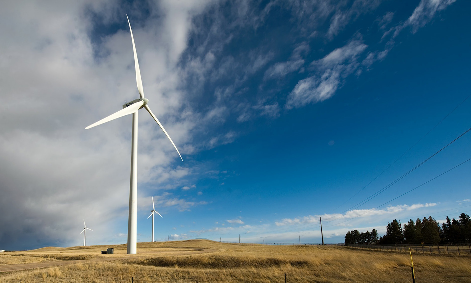 Eolienne dans un champs