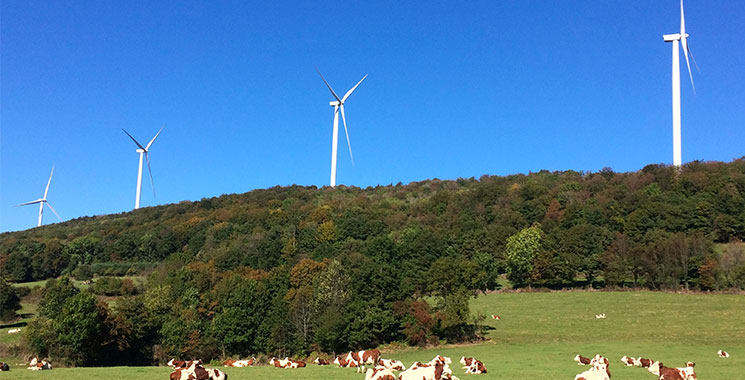 Parc éolien de Lomont-Crosey Vellerot