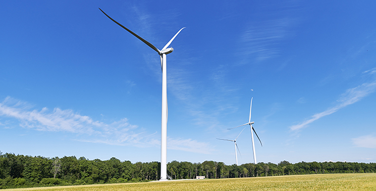 Eolienne à la lisière d'une forêt