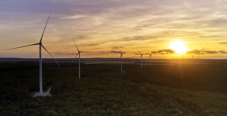 PArc éolien de Velocita au couché du soleil