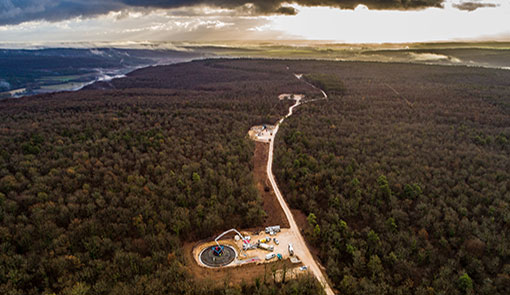 Wind farm foundations in a forest