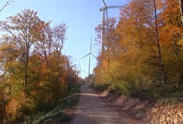 Parc éolien en forêt à l'automne