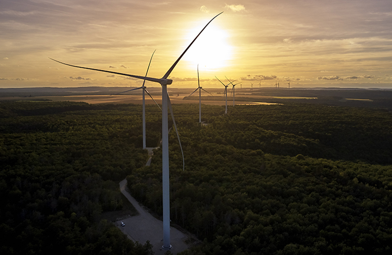 éolienne en forêt au couché du soleil