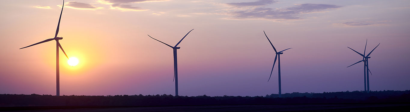 parc éolien levé de soleil