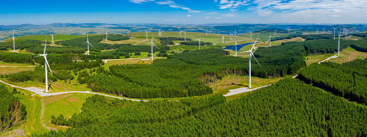 l-eolien-en-foret-et-la-sylviculture-velocita-banniere